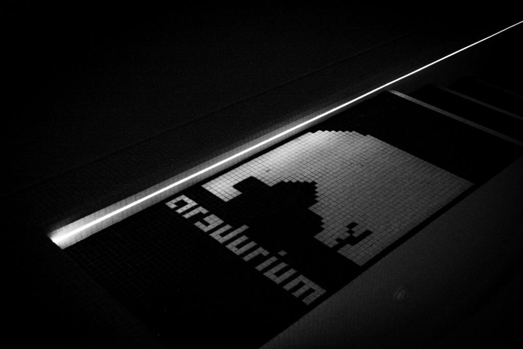 Arsdurium Douro Hotel Cinfães Kültér fotó
